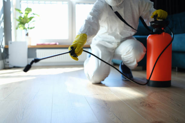 Professional Pest Control in Hinsdale, IL