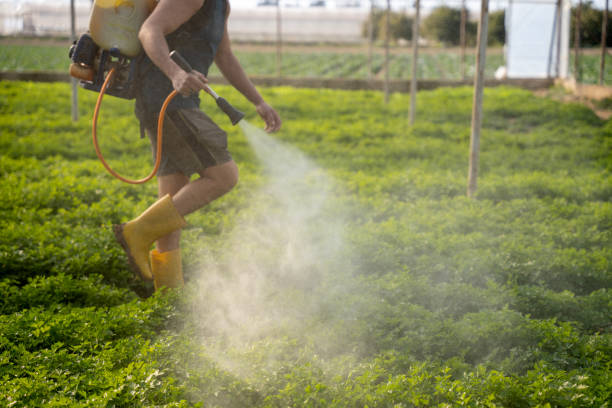 Best Insect Control  in Hinsdale, IL