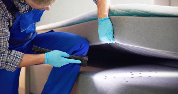 Best Pest Control Near Me  in Hinsdale, IL