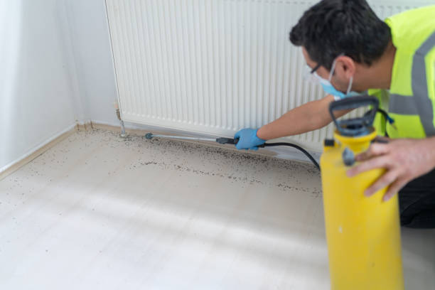 Best Affordable Exterminators  in Hinsdale, IL
