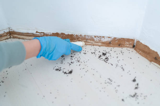 Best Best Pest Control Companies  in Hinsdale, IL
