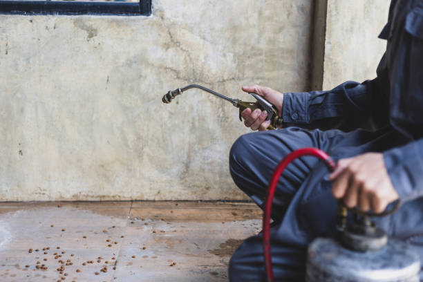 Best Best Pest Control Companies  in Hinsdale, IL