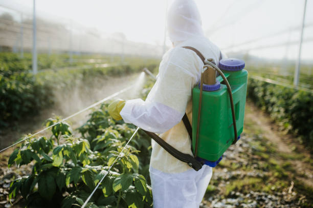 Best Commercial Pest Control Services  in Hinsdale, IL